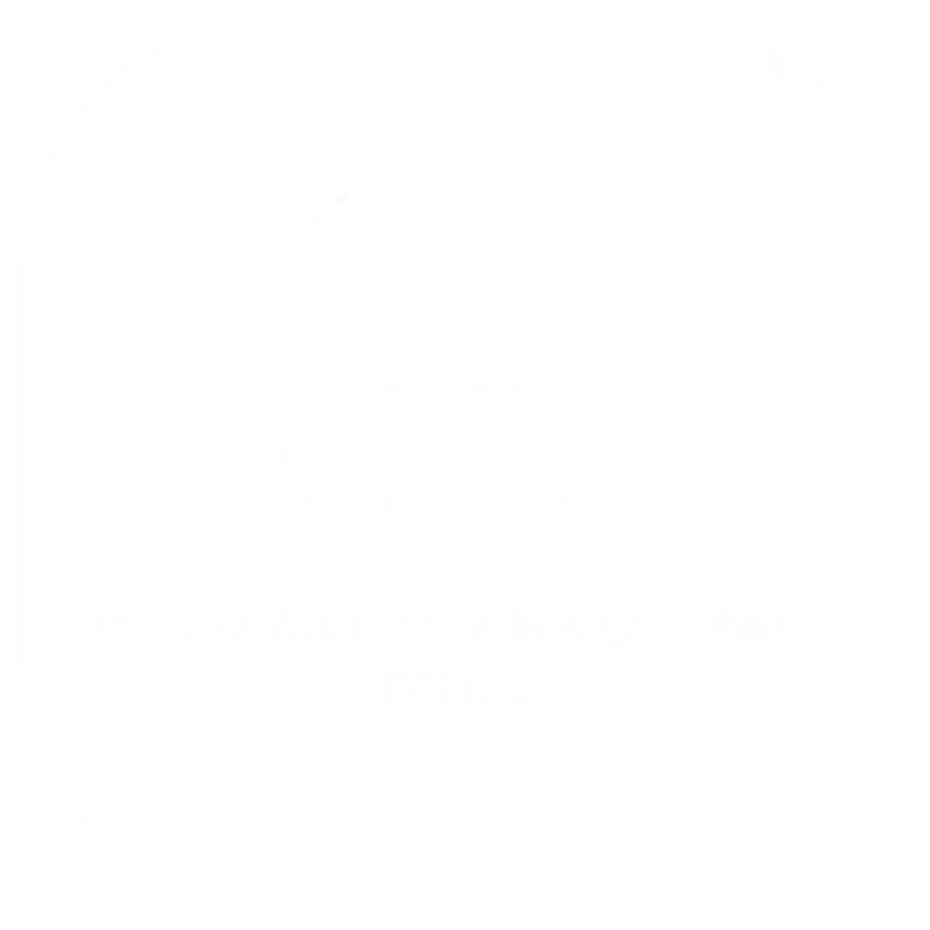 INICIO