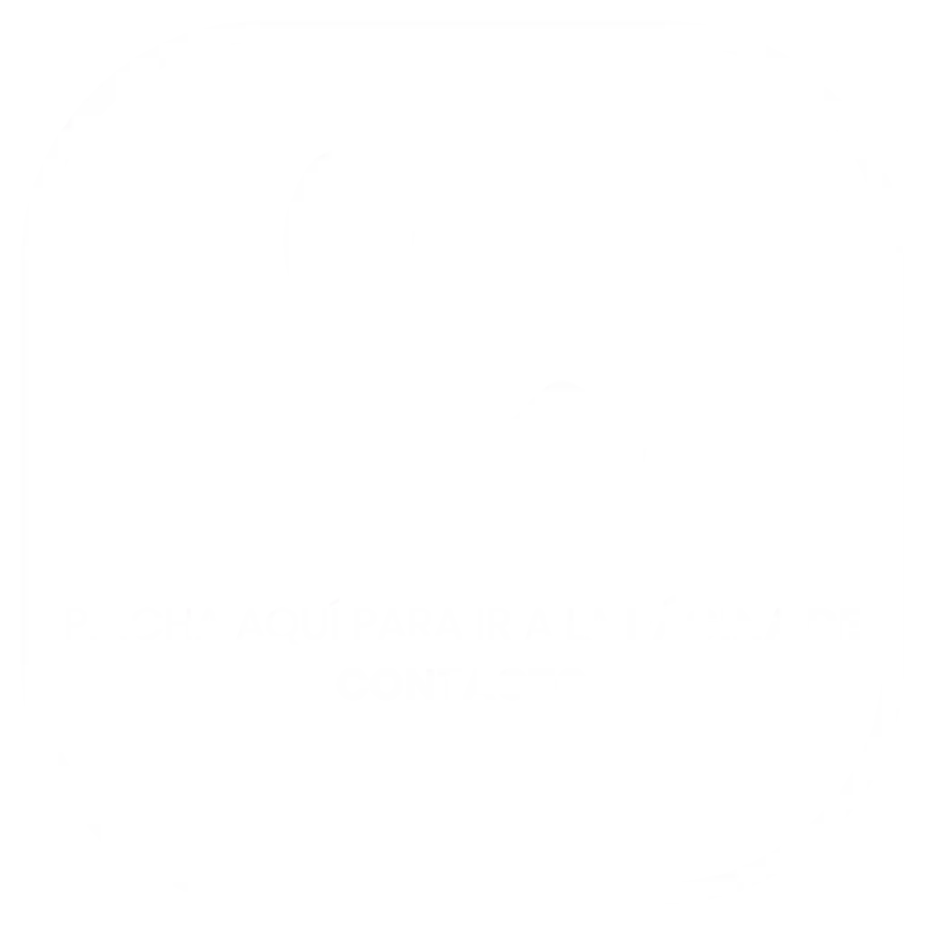 INICIO