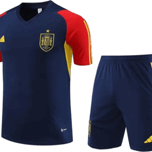 Conjuntos de Entrenamiento Selección España