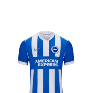 Camiseta Brighton & Hove Albion Football Club 2025/26
